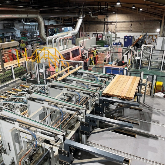 100 Years of Timber