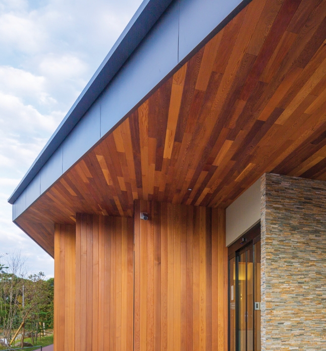 Cladding