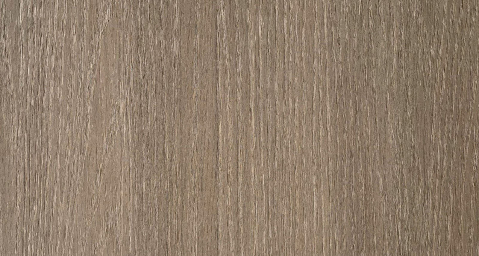 Silvanus LB22