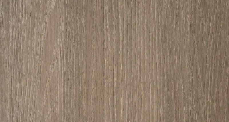 Silvanus LB22